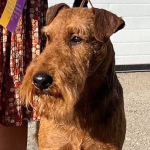 Meet your Posher, Roberta